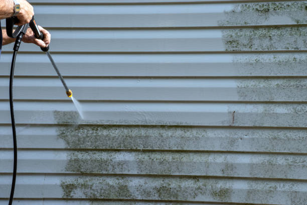 Advantages and Disadvantages of Siding Cleaning&nbsp;Services